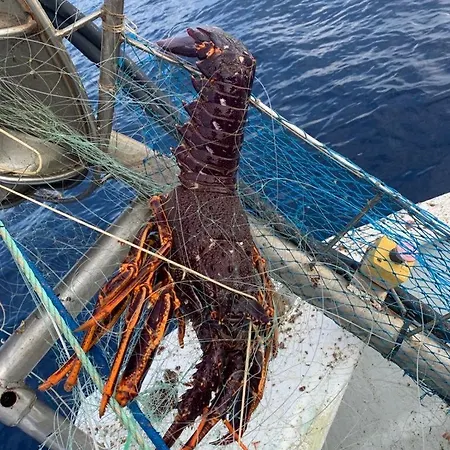 De La Jetée * Centuri