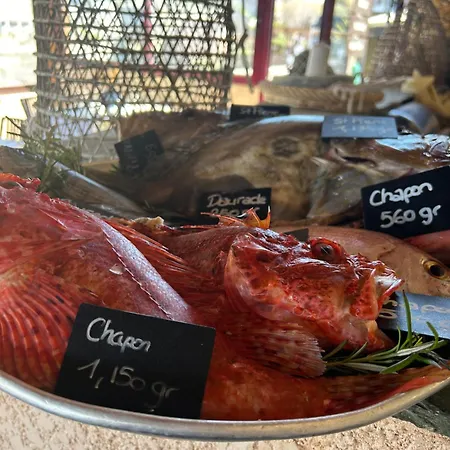 De La Jetee * Centuri