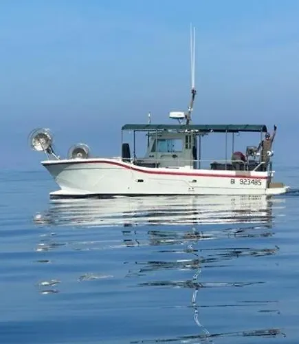 De La Jetee * Centuri