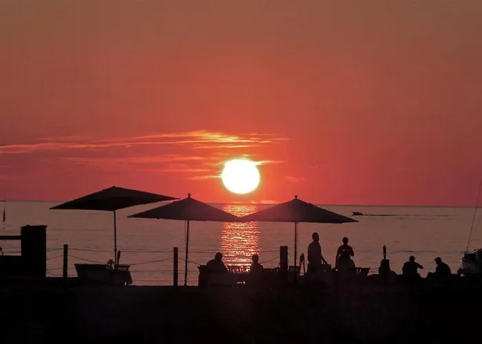 Hotell De La Jetee Centuri