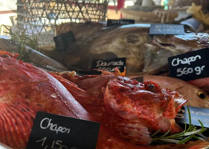 De La Jetee * Centuri